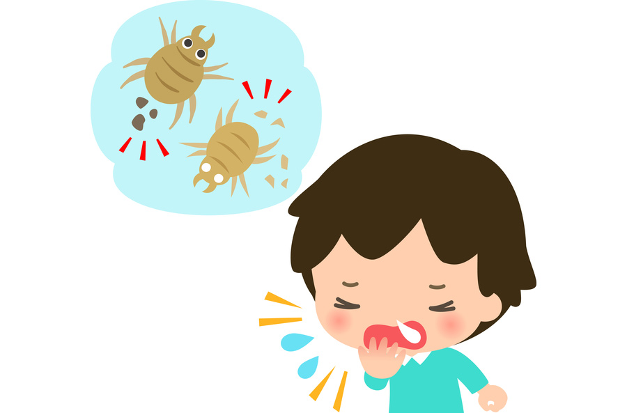 ふとん丸洗い